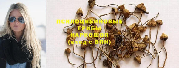 сатива Абдулино