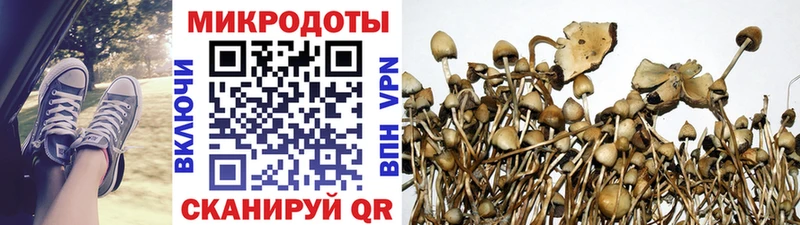 Псилоцибиновые грибы Psilocybe  купить   Усолье-Сибирское 